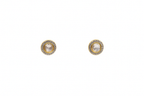 Halo Crystal Stud Earrings
